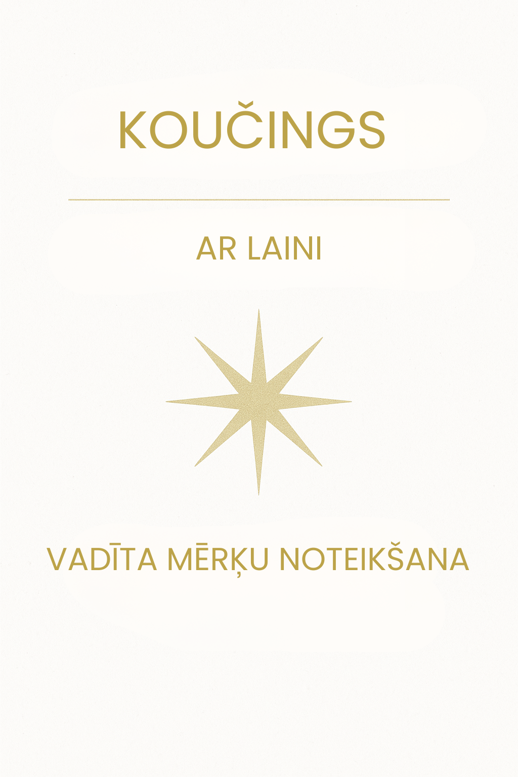 Vadīta mērķu noteikšana (2h)